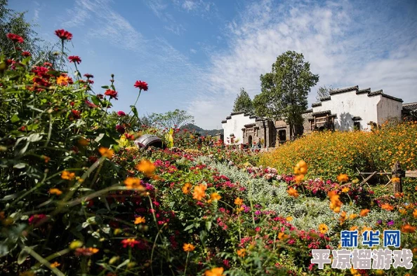 江湖悠悠花圃种植秘籍大爆料：高效方法与详细攻略解析